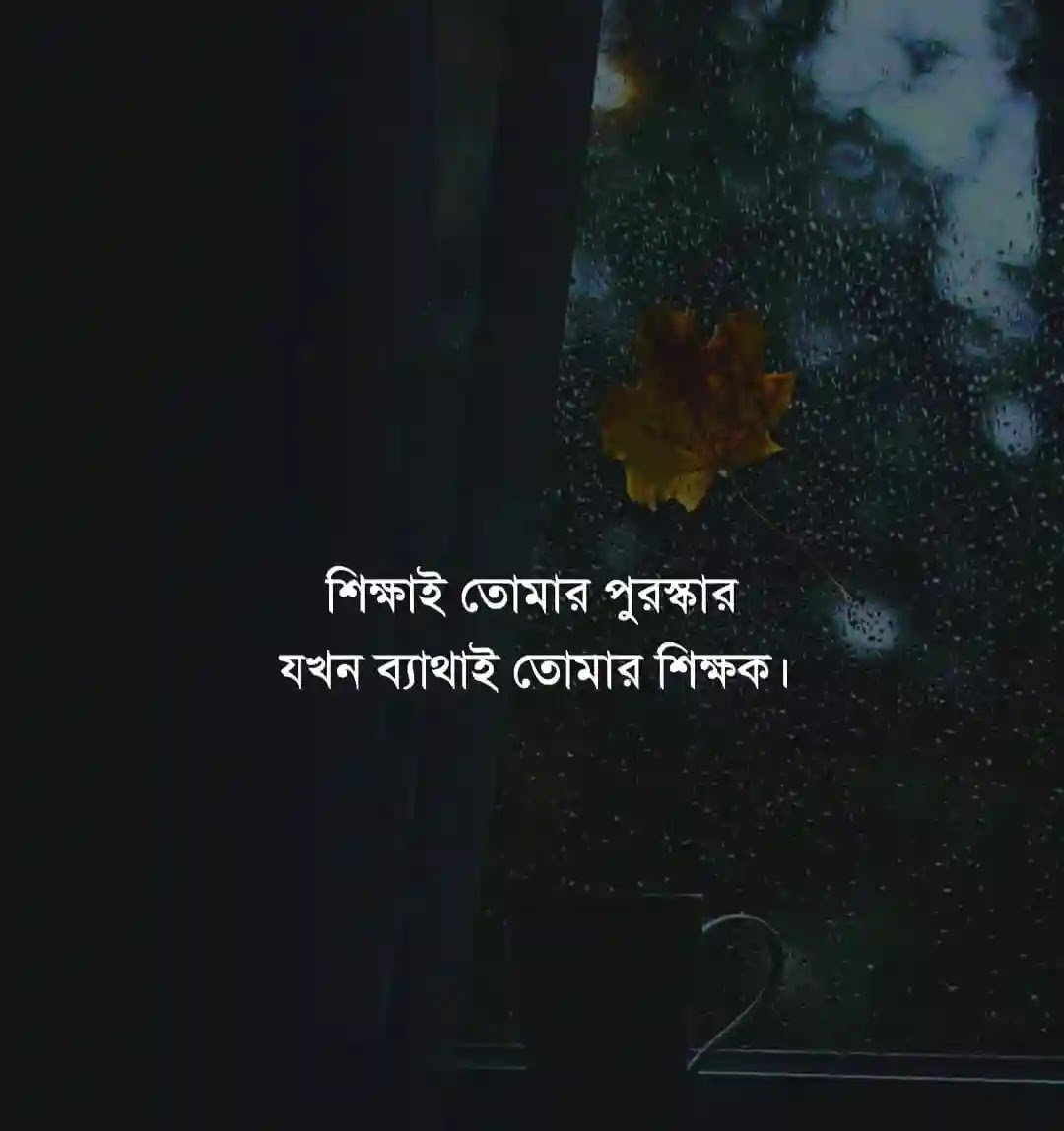 bangla quotes-photos Free background image in precap